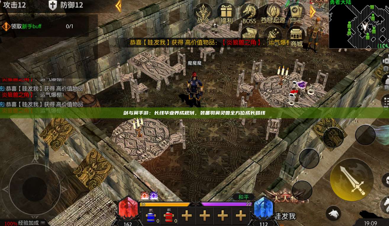 剑与翼手游：长线毕业养成规划，装备羽翼灵兽全方位成长路线